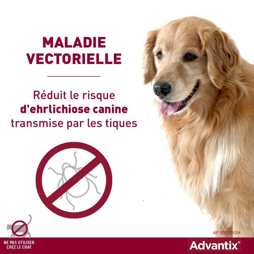 Pipettes Advantix Chien 14 Pipettes Advantix Chien – Image 14