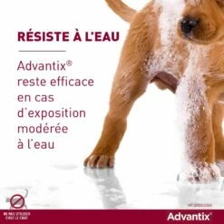 Pipettes Advantix Chien 29 Pipettes Advantix Chien -Promos Wanimo Boutique pipettes advantix chien elanco 14