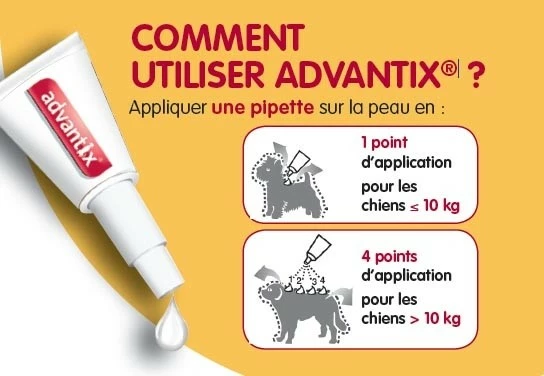 Pipettes Advantix Chien 7 Pipettes Advantix Chien – Image 7