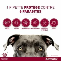 Pipettes Advantix Chien 22 Pipettes Advantix Chien -Promos Wanimo Boutique pipettes advantix chien elanco 7