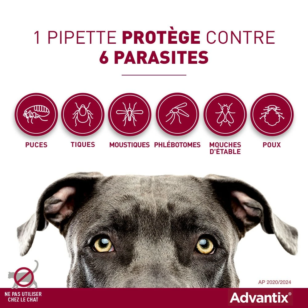 Pipettes Advantix Chien 8 Pipettes Advantix Chien – Image 8