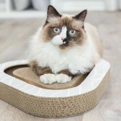 Trixie Plaque Griffoir à Balles -Promos Wanimo Boutique plaque griffoir a balles trixie 4