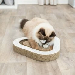 Trixie Plaque Griffoir à Balles -Promos Wanimo Boutique plaque griffoir a balles trixie 5