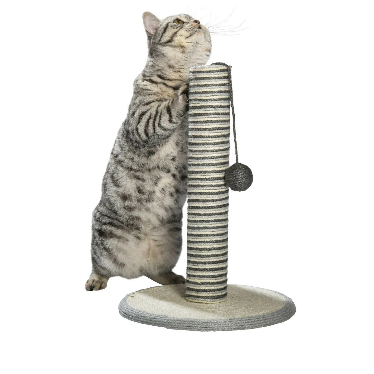 BOBBY Poteau à Griffer Gribouille 4 BOBBY Poteau à Griffer Gribouille – Image 4