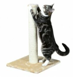 Trixie Poteau à Griffer Parla