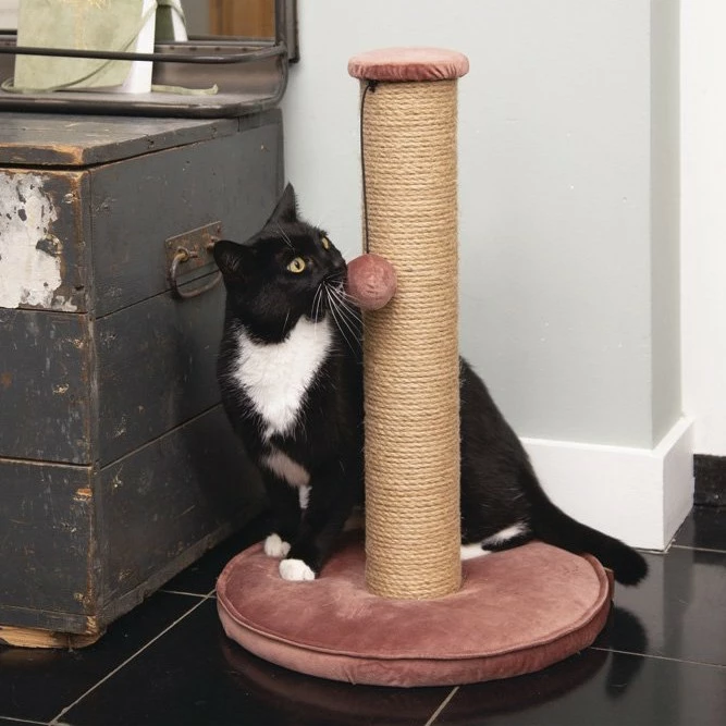 Designed By Lotte Poteau à Griffer Yenna – Rose Poudré 2 Designed By Lotte Poteau à Griffer Yenna – Rose Poudré – Image 2