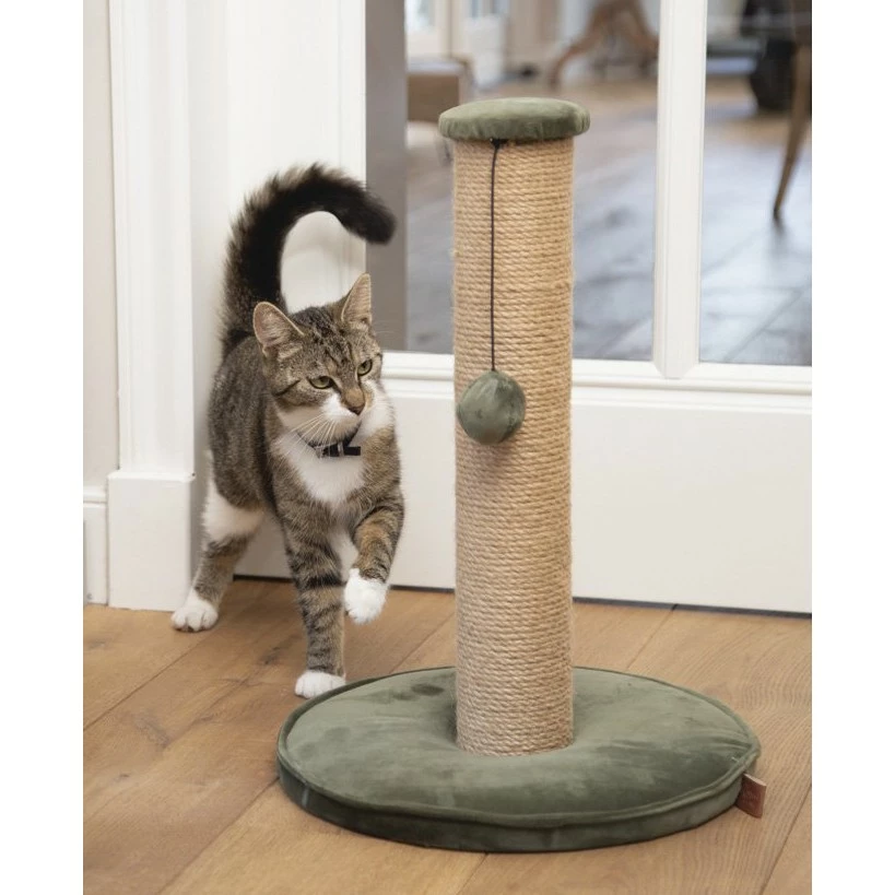 Designed By Lotte Poteau à Griffer Yenna – Vert Kaki 2 Designed By Lotte Poteau à Griffer Yenna – Vert Kaki – Image 2