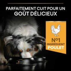 PRO PLAN Age Defence Medium & Large Adult Au Poulet - Croquettes Pour Chien -Promos Wanimo Boutique pro plan age defence medium large adult au poulet croquettes pour chien 1 3