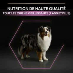 PRO PLAN Age Defence Medium & Large Adult Au Poulet - Croquettes Pour Chien -Promos Wanimo Boutique pro plan age defence medium large adult au poulet croquettes pour chien 1 7