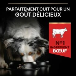 PRO PLAN Duo Delice Medium & Large Adult - Croquettes Pour Chien -Promos Wanimo Boutique pro plan duo delice medium large adult croquettes pour chien 1 3