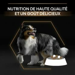 PRO PLAN Duo Delice Medium & Large Adult - Croquettes Pour Chien -Promos Wanimo Boutique pro plan duo delice medium large adult croquettes pour chien 1 7