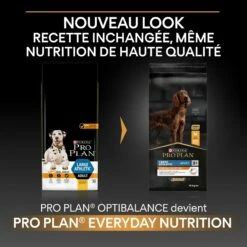 PRO PLAN Everyday Nutrition Large Athletic Adult Au Poulet - Croquettes Pour Chien -Promos Wanimo Boutique pro plan everyday nutrition large athletic adult au poulet croquettes pour chien 1 2