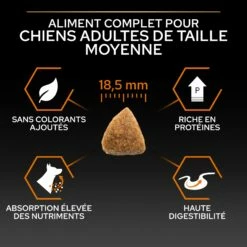 PRO PLAN Everyday Nutrition Large Athletic Adult Au Poulet - Croquettes Pour Chien -Promos Wanimo Boutique pro plan everyday nutrition large athletic adult au poulet croquettes pour chien 1 4