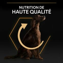 PRO PLAN Everyday Nutrition Large Athletic Adult Au Poulet - Croquettes Pour Chien -Promos Wanimo Boutique pro plan everyday nutrition large athletic adult au poulet croquettes pour chien 1 7