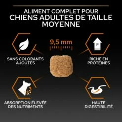 PRO PLAN Everyday Nutrition Small & Mini Adult Au Poulet - Croquettes Pour Chien -Promos Wanimo Boutique pro plan everyday nutrition small mini adult au poulet croquettes pour chien 1 4