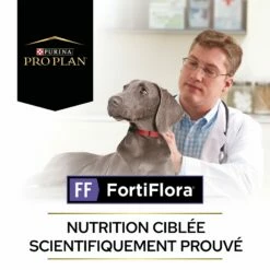 Pro Plan FortiFlora En Bouchées - Probiotiques Pour Chien -Promos Wanimo Boutique pro plan fortiflora en bouchees probiotiques pour chien 1 2