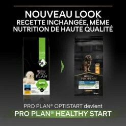 PRO PLAN Healthy Start Large Robust Puppy Au Poulet - Croquettes Pour Chien -Promos Wanimo Boutique pro plan healthy start large robust puppy au poulet croquettes pour chien 1 2