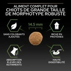 PRO PLAN Healthy Start Large Robust Puppy Au Poulet - Croquettes Pour Chien -Promos Wanimo Boutique pro plan healthy start large robust puppy au poulet croquettes pour chien 1 4