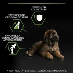 PRO PLAN Healthy Start Large Robust Puppy Au Poulet - Croquettes Pour Chien -Promos Wanimo Boutique pro plan healthy start large robust puppy au poulet croquettes pour chien 1 5