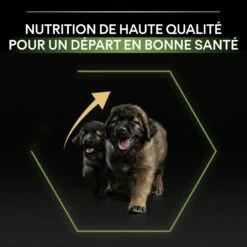 PRO PLAN Healthy Start Large Robust Puppy Au Poulet - Croquettes Pour Chien -Promos Wanimo Boutique pro plan healthy start large robust puppy au poulet croquettes pour chien 1 7