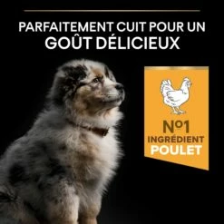 PRO PLAN Healthy Start Medium Puppy Au Poulet - Croquettes Pour Chien -Promos Wanimo Boutique pro plan healthy start medium puppy au poulet croquettes pour chien 1 2