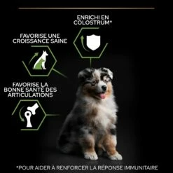 PRO PLAN Healthy Start Medium Puppy Au Poulet - Croquettes Pour Chien -Promos Wanimo Boutique pro plan healthy start medium puppy au poulet croquettes pour chien 1 4