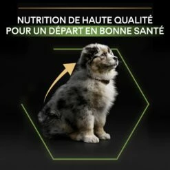 PRO PLAN Healthy Start Medium Puppy Au Poulet - Croquettes Pour Chien -Promos Wanimo Boutique pro plan healthy start medium puppy au poulet croquettes pour chien 1 6