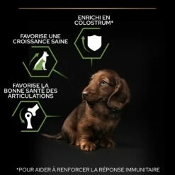 PRO PLAN Healthy Start Small & Mini Puppy Au Poulet - Croquettes Pour Chien -Promos Wanimo Boutique pro plan healthy start small mini puppy au poulet croquettes pour chien 1 4