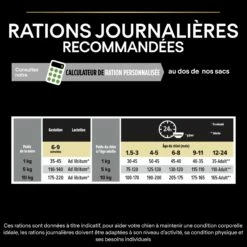 PRO PLAN Healthy Start Small & Mini Puppy Au Poulet - Croquettes Pour Chien -Promos Wanimo Boutique pro plan healthy start small mini puppy au poulet croquettes pour chien 1 6