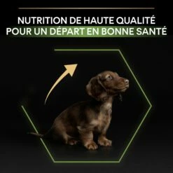 PRO PLAN Healthy Start Small & Mini Puppy Au Poulet - Croquettes Pour Chien -Promos Wanimo Boutique pro plan healthy start small mini puppy au poulet croquettes pour chien 1 7