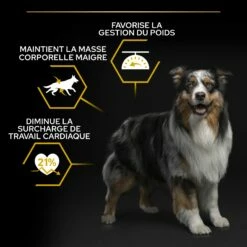 PRO PLAN Light/Sterilised All Sizes Adult Au Poulet - Croquettes Pour Chien -Promos Wanimo Boutique pro plan light sterilised all sizes adult au poulet croquettes pour chien 1 5