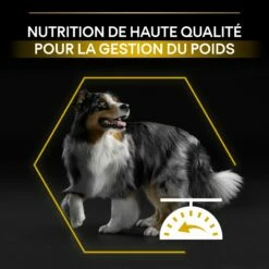 PRO PLAN Light/Sterilised All Sizes Adult Au Poulet - Croquettes Pour Chien -Promos Wanimo Boutique pro plan light sterilised all sizes adult au poulet croquettes pour chien 1 7
