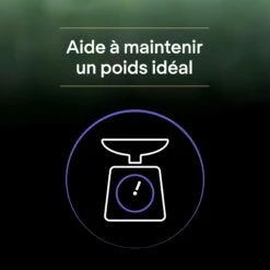 PRO PLAN LiveClear Kitten à La Dinde - Croquettes Pour Chaton -Promos Wanimo Boutique pro plan liveclear kitten a la dinde croquettes pour chaton 1 7