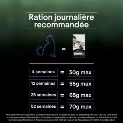 PRO PLAN LiveClear Kitten à La Dinde - Croquettes Pour Chaton -Promos Wanimo Boutique pro plan liveclear kitten a la dinde croquettes pour chaton 1 9