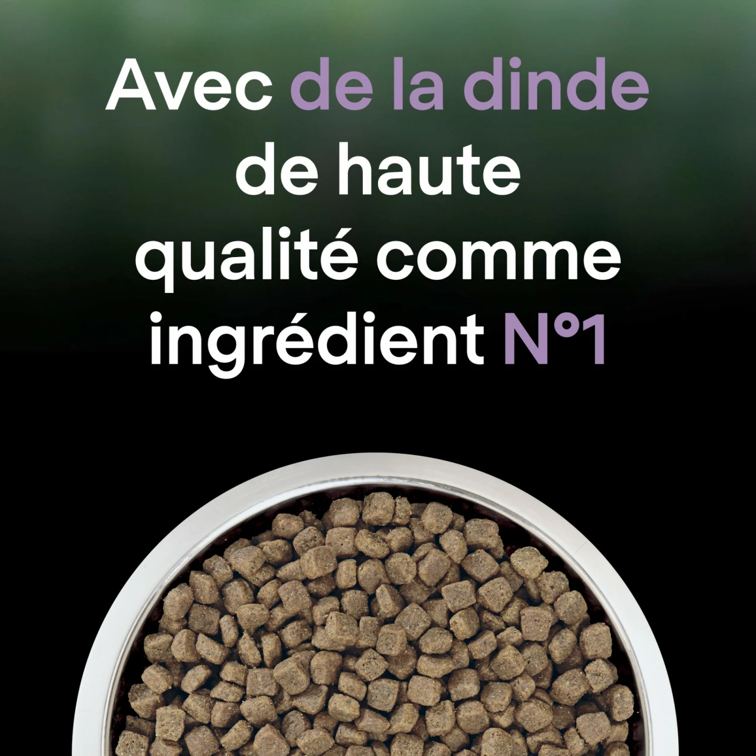 PRO PLAN LiveClear Sterilised Adult à La Dinde - Croquettes Pour Chat 11 PRO PLAN LiveClear Sterilised Adult à La Dinde - Croquettes Pour Chat – Image 11
