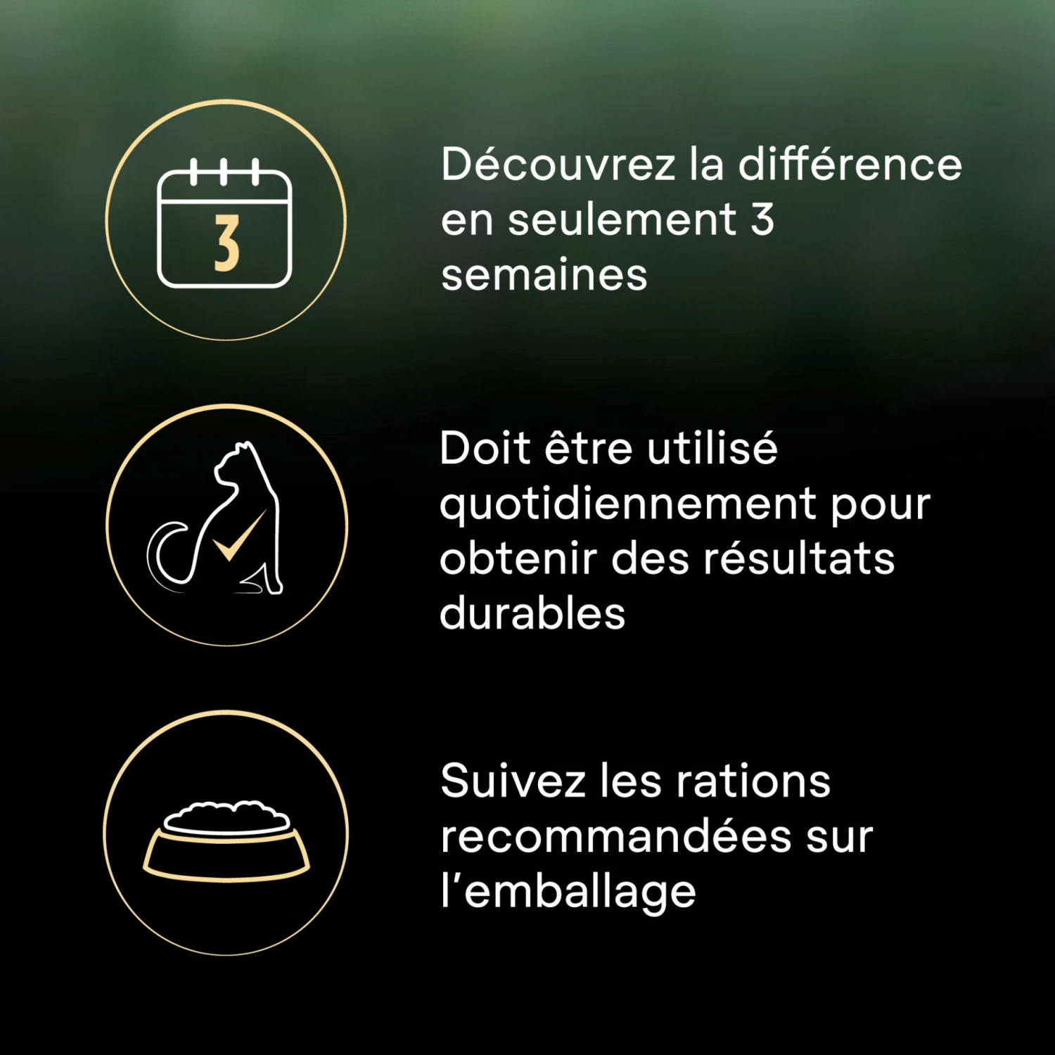 PRO PLAN LiveClear Sterilised Adult à La Dinde - Croquettes Pour Chat 12 PRO PLAN LiveClear Sterilised Adult à La Dinde - Croquettes Pour Chat – Image 12