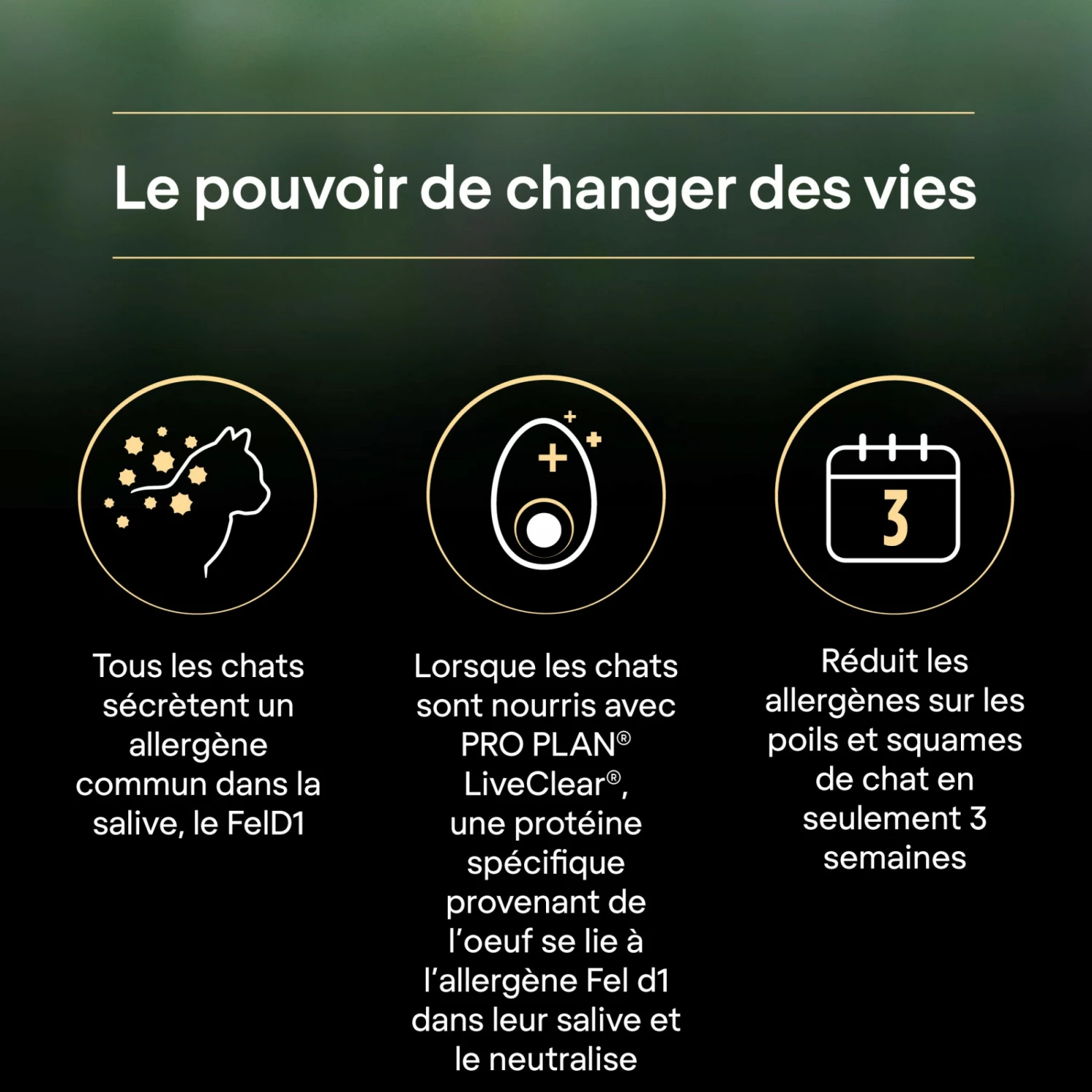 PRO PLAN LiveClear Sterilised Adult à La Dinde - Croquettes Pour Chat 8 PRO PLAN LiveClear Sterilised Adult à La Dinde - Croquettes Pour Chat – Image 8