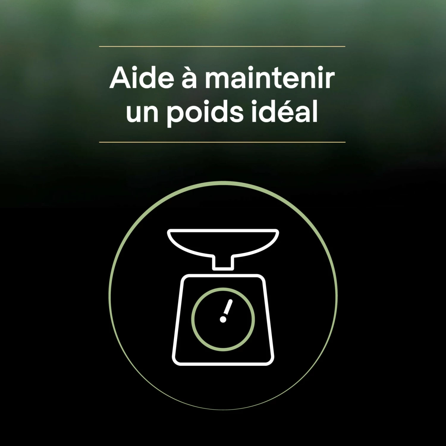 PRO PLAN LiveClear Sterilised Adult à La Dinde - Croquettes Pour Chat 9 PRO PLAN LiveClear Sterilised Adult à La Dinde - Croquettes Pour Chat – Image 9