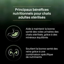 PRO PLAN LiveClear Sterilised Adult à La Dinde - Croquettes Pour Chat 24 PRO PLAN LiveClear Sterilised Adult à La Dinde - Croquettes Pour Chat -Promos Wanimo Boutique pro plan liveclear sterilised adult a la dinde croquettes pour chat 1 9