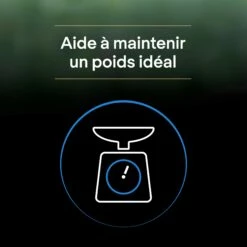 PRO PLAN LiveClear Sterilised Senior à La Dinde - Croquettes Pour Chat -Promos Wanimo Boutique pro plan liveclear sterilised senior a la dinde croquettes pour chat 1 5