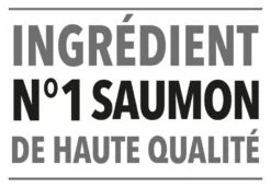 PRO PLAN Longevis Senior Au Saumon - Croquettes Pour Chat -Promos Wanimo Boutique pro plan longevis senior au saumon croquettes pour chat 1 4