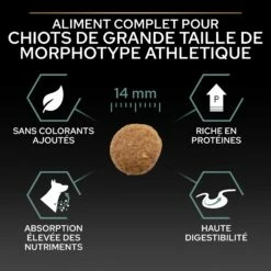 PRO PLAN Sensitive Digestion Large Athletic Puppy à La Agneau- Croquettes Pour Chien -Promos Wanimo Boutique pro plan sensitive digestion large athletic puppy a la agneau croquettes pour chien 1 5
