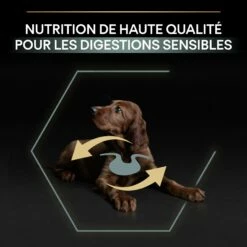 PRO PLAN Sensitive Digestion Large Athletic Puppy à La Agneau- Croquettes Pour Chien -Promos Wanimo Boutique pro plan sensitive digestion large athletic puppy a la agneau croquettes pour chien 1 8