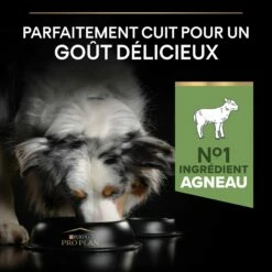 PRO PLAN Sensitive Digestion Medium Adult à L'Agneau - Croquettes Pour Chien -Promos Wanimo Boutique pro plan sensitive digestion medium adult a l agneau croquettes pour chien 1 3