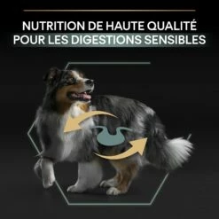 PRO PLAN Sensitive Digestion Medium Adult à L'Agneau - Croquettes Pour Chien -Promos Wanimo Boutique pro plan sensitive digestion medium adult a l agneau croquettes pour chien 1 7