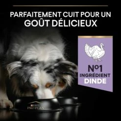 PRO PLAN Sensitive Digestion No Grain Medium & Large Adult à La Dinde - Croquettes Pour Chien 12 PRO PLAN Sensitive Digestion No Grain Medium & Large Adult à La Dinde - Croquettes Pour Chien -Promos Wanimo Boutique pro plan sensitive digestion no grain medium large adult a la dinde croquettes pour chien 1 3