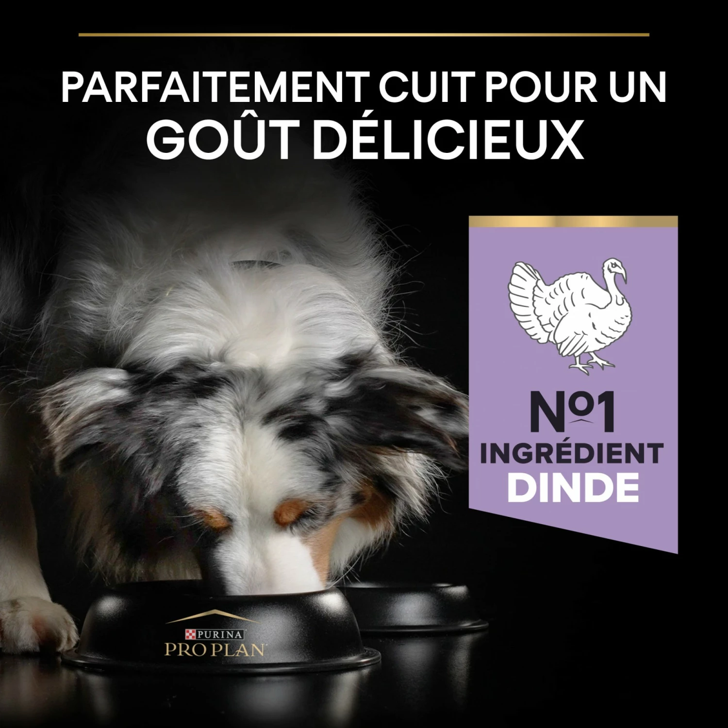 PRO PLAN Sensitive Digestion No Grain Medium & Large Adult à La Dinde - Croquettes Pour Chien 4 PRO PLAN Sensitive Digestion No Grain Medium & Large Adult à La Dinde - Croquettes Pour Chien – Image 4