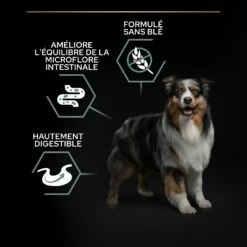 PRO PLAN Sensitive Digestion No Grain Medium & Large Adult à La Dinde - Croquettes Pour Chien 14 PRO PLAN Sensitive Digestion No Grain Medium & Large Adult à La Dinde - Croquettes Pour Chien -Promos Wanimo Boutique pro plan sensitive digestion no grain medium large adult a la dinde croquettes pour chien 1 5