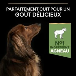 PRO PLAN Sensitive Digestion Small & Mini Adult à La Agneau- Croquettes Pour Chien -Promos Wanimo Boutique pro plan sensitive digestion small mini adult a la agneau croquettes pour chien 1 2