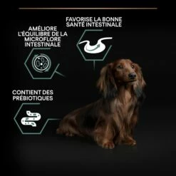 PRO PLAN Sensitive Digestion Small & Mini Adult à La Agneau- Croquettes Pour Chien -Promos Wanimo Boutique pro plan sensitive digestion small mini adult a la agneau croquettes pour chien 1 4